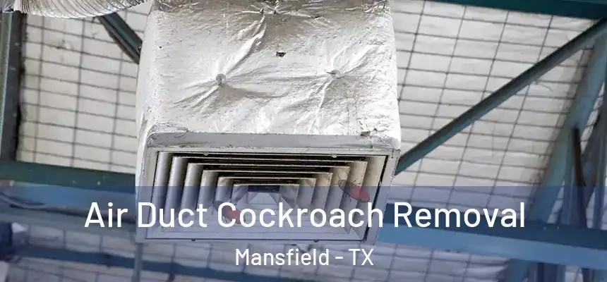  Air Duct Cockroach Removal Mansfield - TX