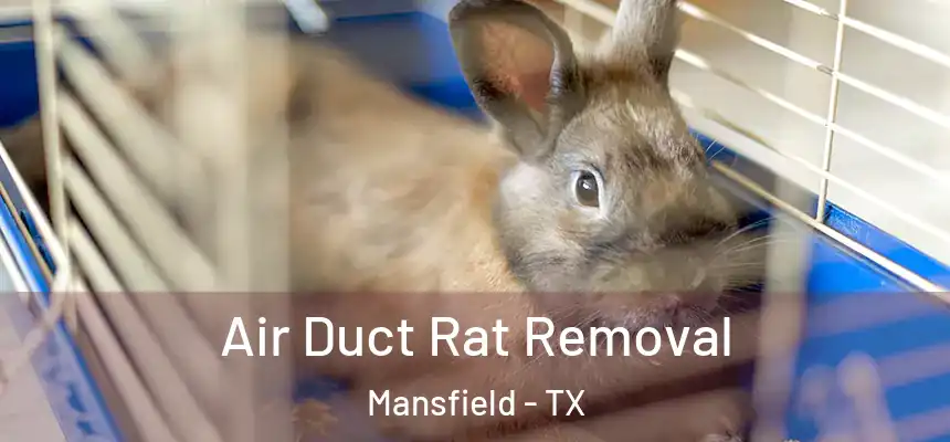 Air Duct Rat Removal Mansfield - TX