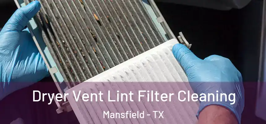  Dryer Vent Lint Filter Cleaning Mansfield - TX