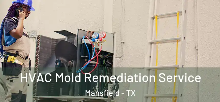 HVAC Mold Remediation Service Mansfield - TX