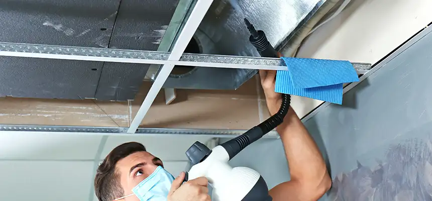 Our Air Duct Rodent Removal Services in Mansfield, TX