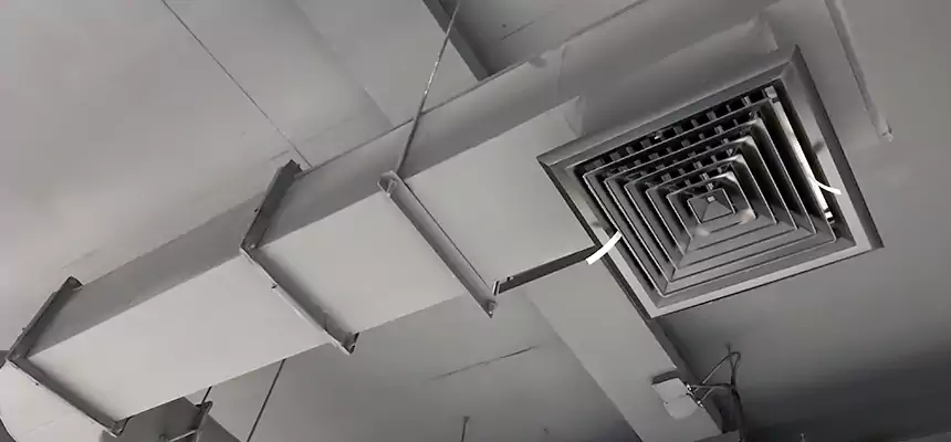 Our Pest Removal From Ducts Services in Mansfield, TX