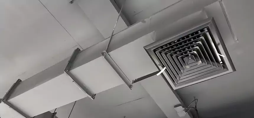 Our Rodent Droppings In Vents Services in Mansfield, TX