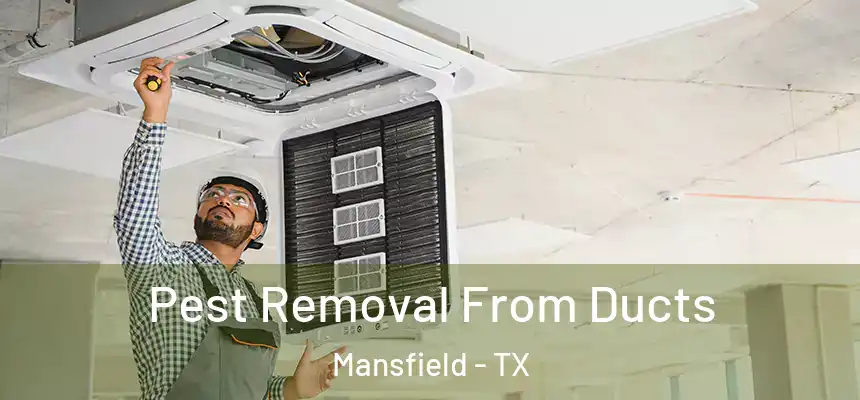  Pest Removal From Ducts Mansfield - TX