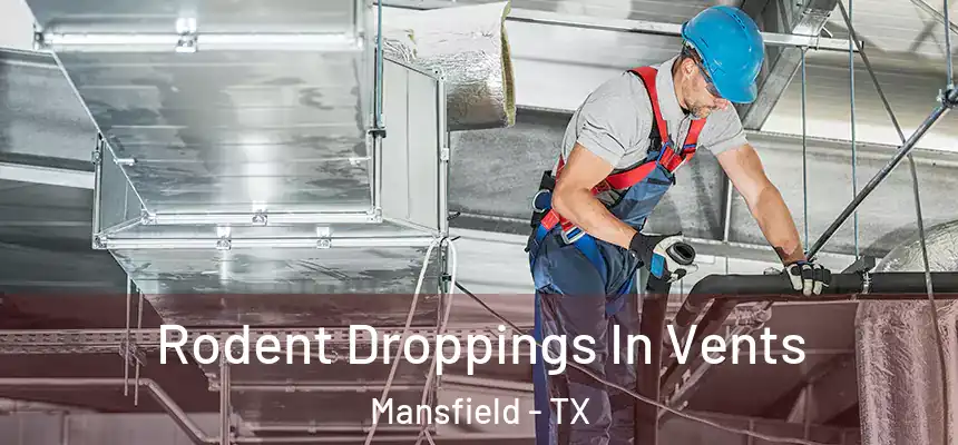  Rodent Droppings In Vents Mansfield - TX