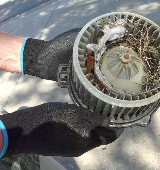 About Air Duct Rat Removal in Mansfield, TX