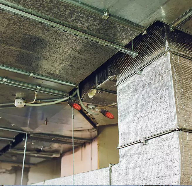 Why Homeowners & Businesses Trust Us in Mansfield, TX?