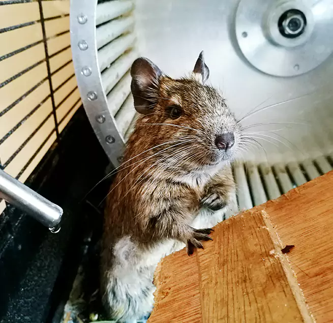 Why Homeowners & Businesses Trust Us Mansfield, TX?